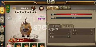 天龙八部手游宠物攻略,全面解析获取、培养与搭配技巧