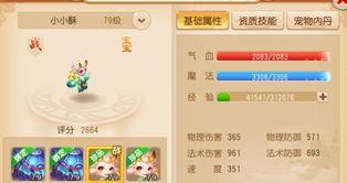 梦幻西游手游平民玩家玩什么职业,打造高效游戏体验